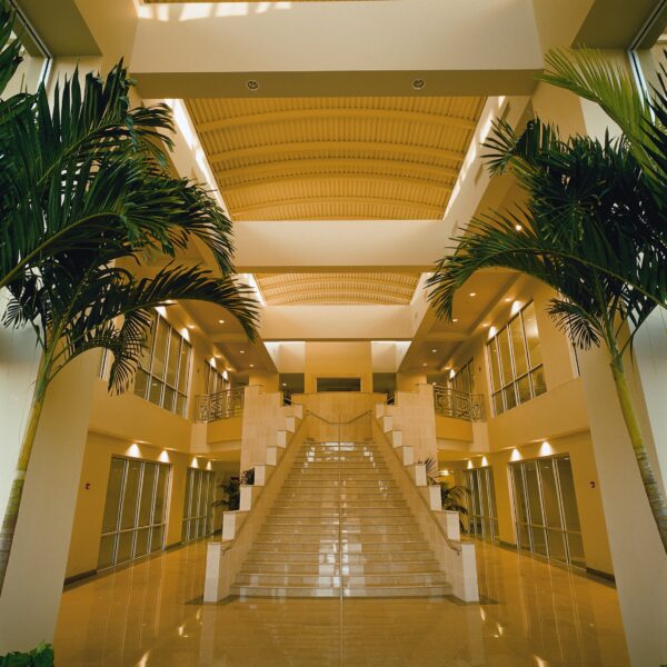commercial real estate developer
